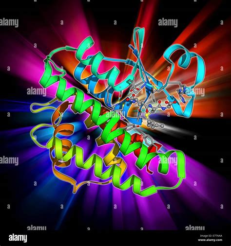 Gst Enzyme Molecular Model Of A Glutathione S Transferase Gst Enzyme