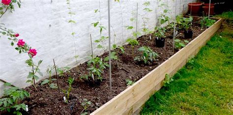 Using A Raised Bed Diary Of A Brussels Kitchen Garden