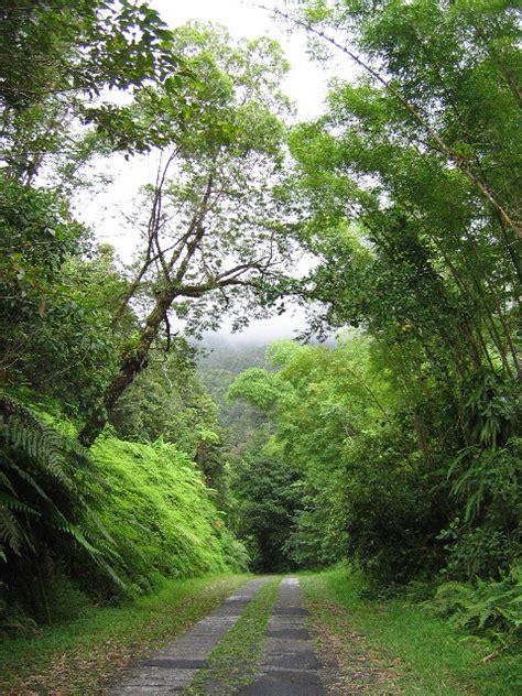 Guadalupa Parco Nazionale Di Basse Terre La Foresta Pluvia Flickr