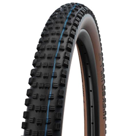 Schwalbe Wicked Will Addix SpeedGrip Super Ground TLE Evolution Folding ...