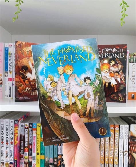 𝐧𝐢𝐥𝐢 on Instagram 𝘵𝘩𝘦 𝘱𝘳𝘰𝘮𝘪𝘴𝘦𝘥 𝘯𝘦𝘷𝘦𝘳𝘭𝘢𝘯𝘥 the first volume of tpn