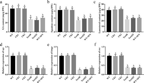 Silencing Gltert Decreased The Ga Biosynthesis In G Lucidum The G Download Scientific