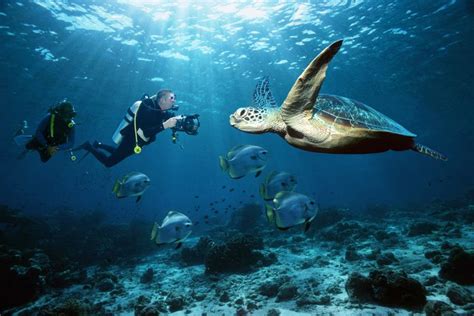 9 Best Spots for Scuba Diving in Thailand