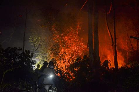 Peatland On Fire Again As Burning Season Starts In Indonesia