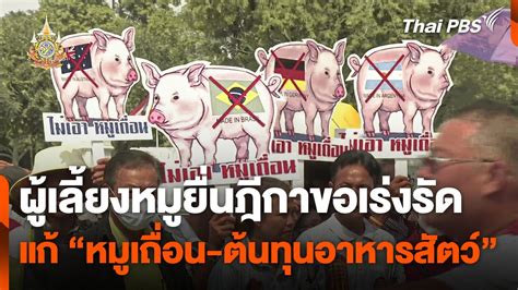 ผู้เลี้ยงหมูยื่นฎีกาขอเร่งรัดแก้ หมูเถื่อน ต้นทุนอาหารสัตว์ วันใหม่