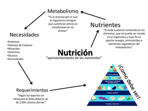 Calaméo Nutrición Malnutrición Y Desnutrición