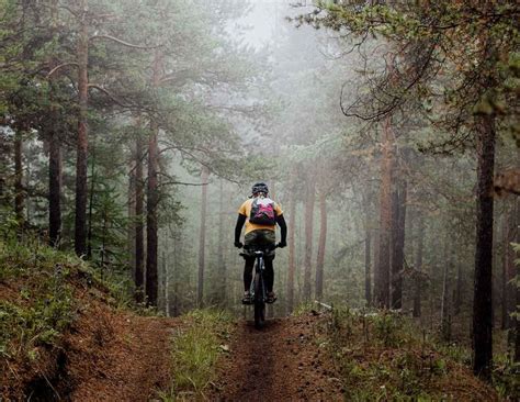 Caribou-Targhee National Forest - The Lodge Bronze Buffalo Ranch