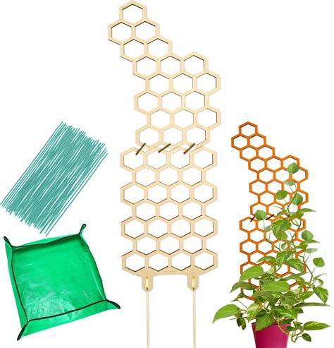 Midrean 6pcs Small Wooden Honeycomb Hanging Hoya Wall Trellis For Climbing Plants