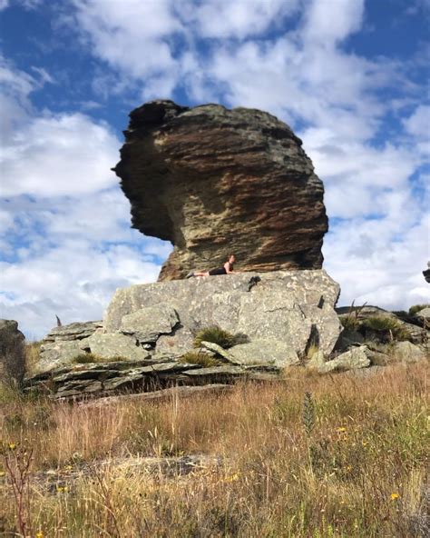 Flat Top Hill Otago Trails Photo Gallery Wild Things