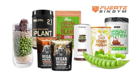 Las Mejores Prote Nas Veganas De Gu A Definitiva