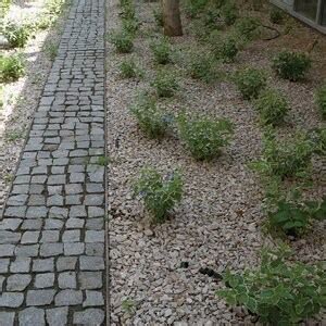 Grey Granite Splitface Cobblestone X X Cm Ton Sqm