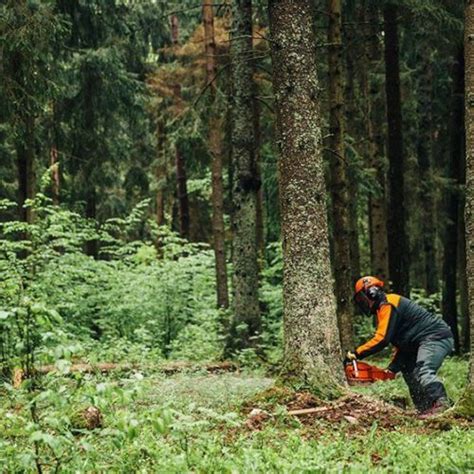 ECHO CS 501SX 18 Petrol Chainsaw Frank Nicol