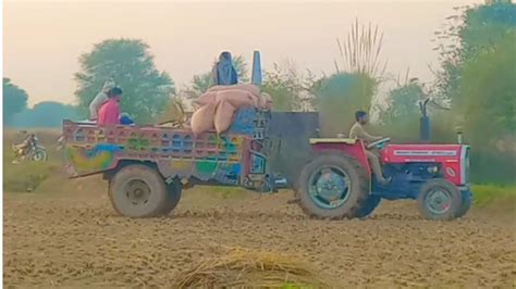 Massey Ferguson With Trolley Mf Pakistani Driver At