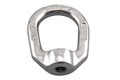 Stainless Steel FORGED LIFTING EYE NUT 316 M10