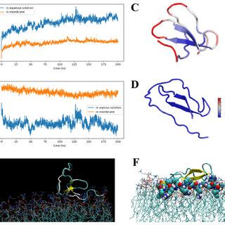 Molecular Dynamics Simulation A The Root Mean Square Distances