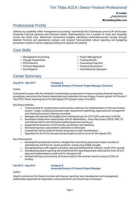 Executive Cv Examples Cv Templates And Guide