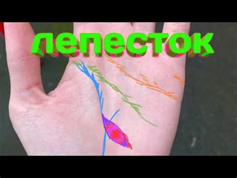 ЛЕПЕСТОК НА ЛИНИИ ЖИЗНИ. - YouTube