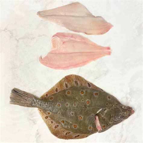 Plaice West Coast Sea Products Ltd Wholesale Shellfish Suppliers