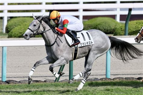 【新馬阪神5r】ロードカナロア産駒 グランテストがデビューv 競馬ニュースなら競馬のおはなし