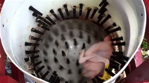 Machine Pour D Plumer Un Poulet En Secondes Youtube