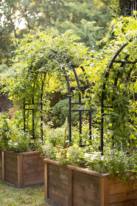 Gardenary S Nicole Arch Trellis Gardenary