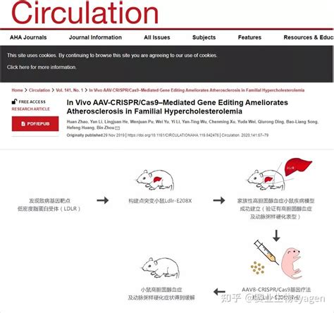 小鼠疾病模型构建与药物临床前评价研究的思考 知乎