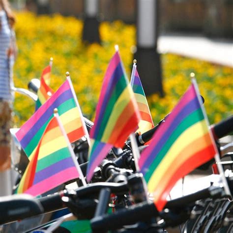 Whaline Pack Rainbow Stick Flags Gay Pride Small Mini Flags