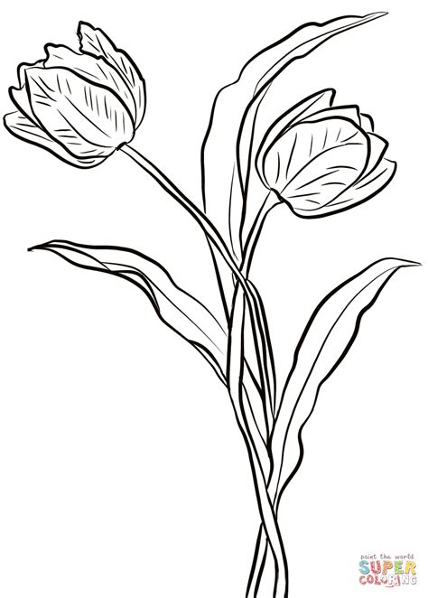 Dibujo De Dos Tulipanes Para Colorear Dibujos Para Colorear Imprimir