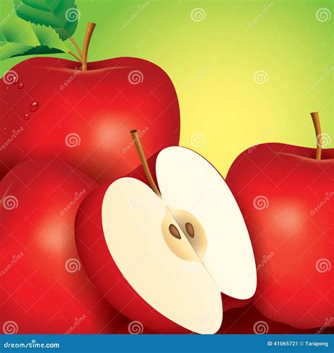 Apple Vector Illustration On Green Background Stock Vector