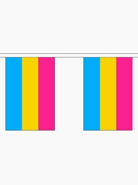 Bunting 10 Small Pansexual Pride Flags Qx Shop