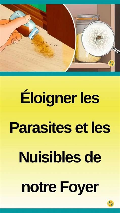 Moyens De Lutter Contre Insectes Et Parasites Et De Mani Re