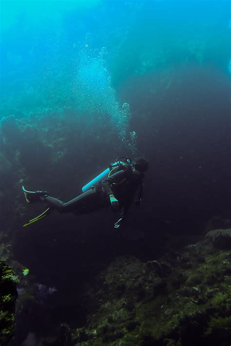 Diving In Tulamben Bali 2023 Complete Guide