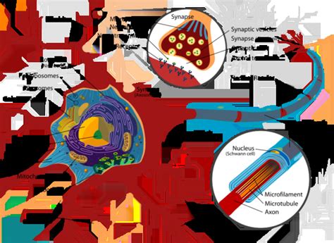 Mnemonics Articles Learnodo Newtonic