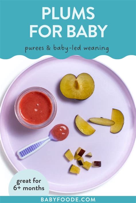 How To Serve Plums To Baby Puree And Baby Led Weaning Baby Foode