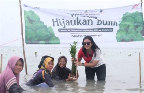 Fifgroup Tanam Bibit Mangrove Di Pulau Pari