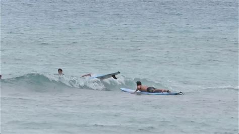 Waikiki Beach Surfer Surfing Hawaii Oahu Honolulu 20170215 1 Youtube