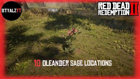 Oleander Sage Locations Rdr2 Online Daily Challenge Youtube