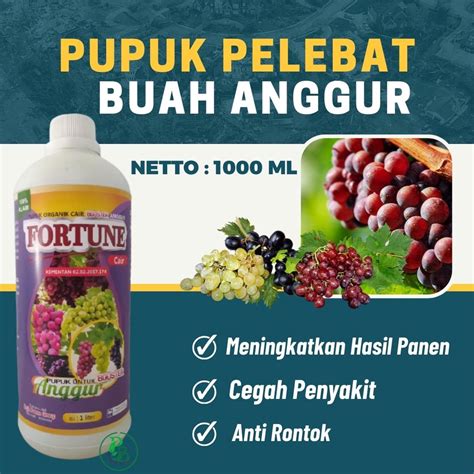 Jual Pupuk Pohon Kurma Agar Cepat Berbuah Booster Kurma Al Qassim