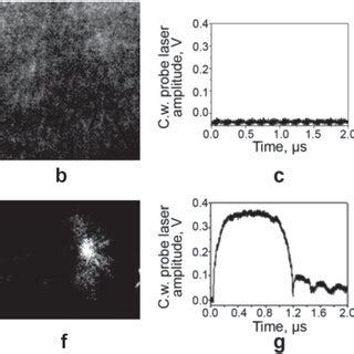 (a) and (e) Bright field microscopy images of a zebrafish embryo show ...