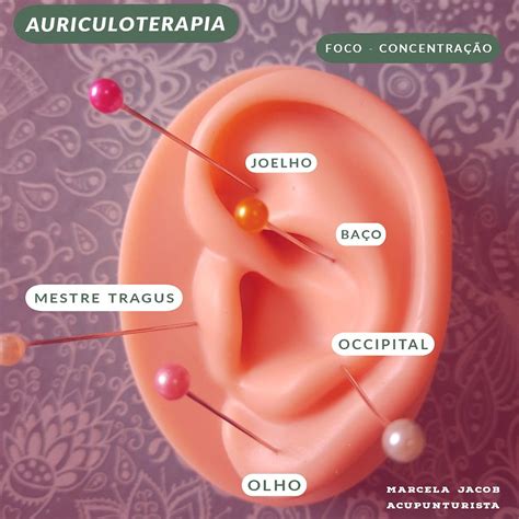 Auriculoterapia Francesa Pontos Para Foco E Concentra O