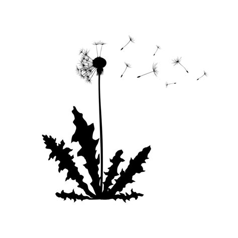 Dandelion Plant Spreading Seeds In Wind Dandelion Silhouette Flat