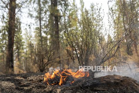 Sejumlah Titik Api Mulai Terdeteksi Di Aceh Republika Online