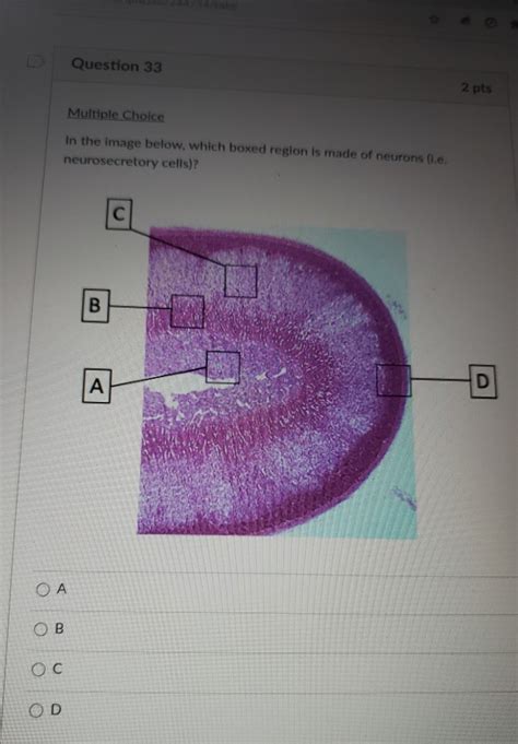 Solved Question Pts Multiple Choice In The Image Below Chegg