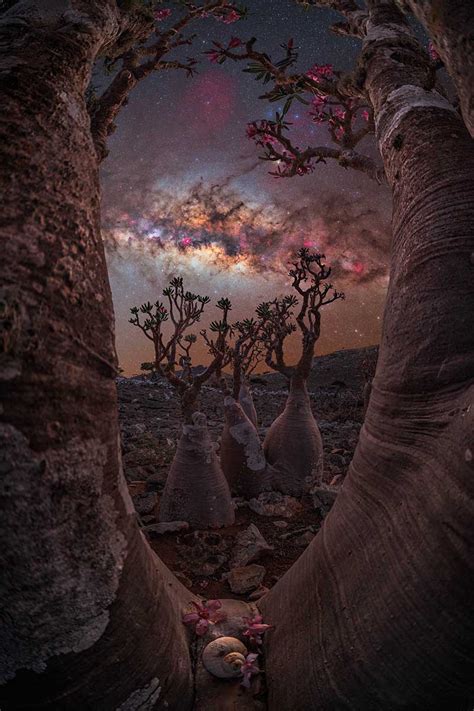 Best Milky Way Photographs Of 2023 Nature Infocus