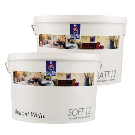 Sherwin Williams White Matt L Muurverf