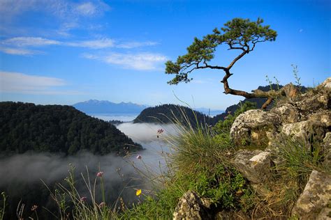 Pieniny National Park – Slovakia | Tripomatic