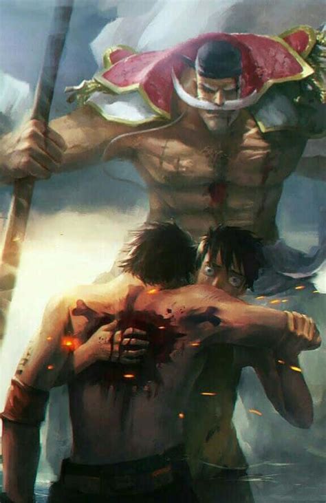 One Piece Luffys Brother Died