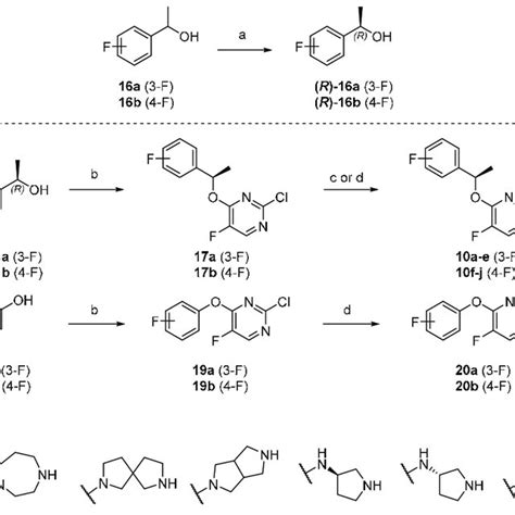 Scheme Synthesis Of Disubstituted Pyrimidine Derivatives A J