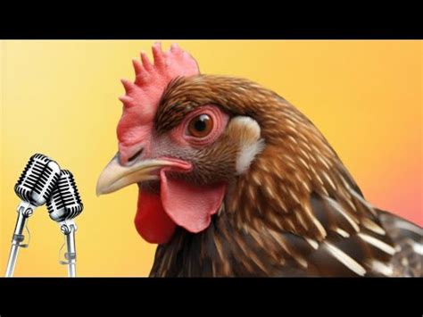 J Geco Chicken Song Chicken Dance Geco Remix 78 YouTube