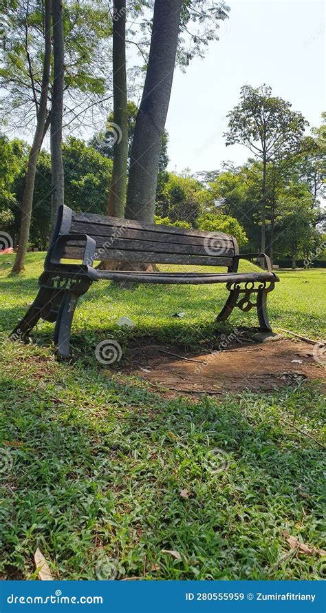 An old bench in the garden stock image. Image of nature - 280555959